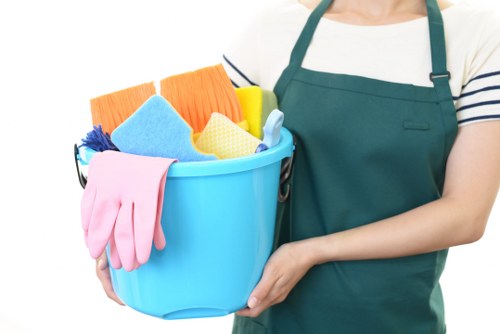 Professional carpet cleaning in Edenpark with fresh clean flooring