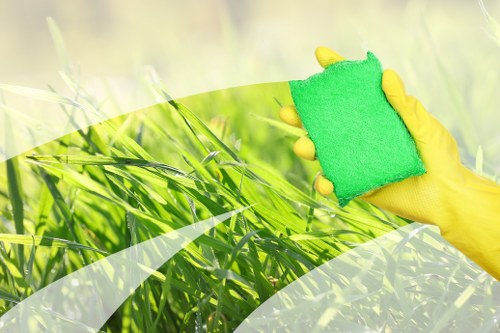 Image 1: Accessibility-focused website content for Edenpark Carpet Cleaners