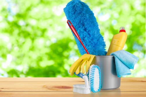 Edenpark Carpet Cleaners team providing professional carpet care