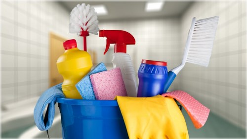 Carpet cleaning team focusing on recycling and sustainability practices