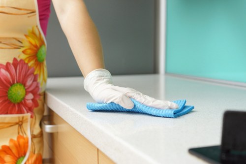 Technician treating a high-traffic carpet area in Edenpark