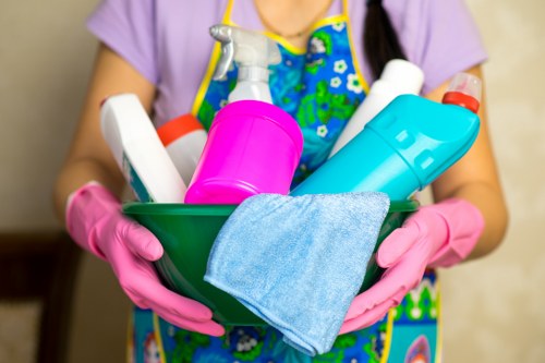 Step-by-step rug cleaning process for Edenpark homes