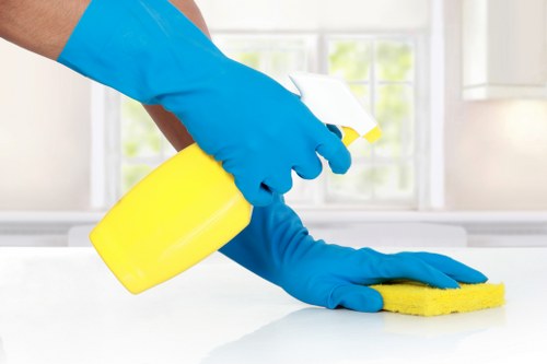 Stain and odor removal for mattress cleaning in Edenpark
