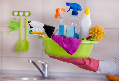 Deep carpet cleaning process in Edenpark interior