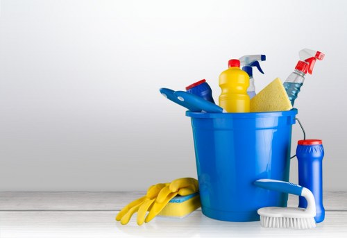 Carpet cleaning for pet urine stains and odours in Edenpark