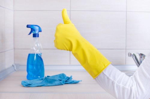 Deep cleaning upholstery affected by pet odours in Edenpark
