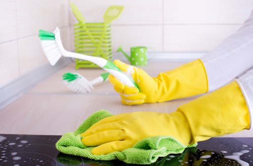 Close-up of upholstery cleaning in Edenpark removing stains from a sofa