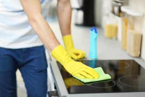 Upholstery and carpet stain treatment in Edenpark