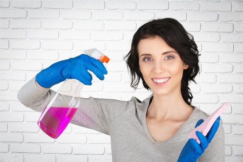 Enzyme cleaning method for removing pet stains and smells