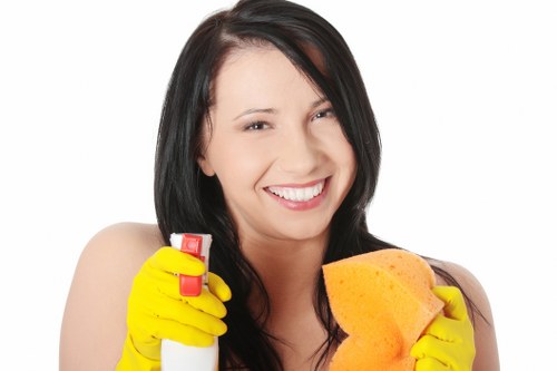 Dust and odor removal during curtain cleaning in Edenpark