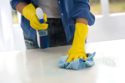 Final review stage of a cleaning service complaint